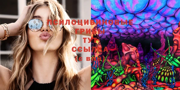 стаф Гусиноозёрск