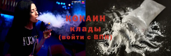 молекула духа Дмитриев