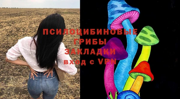 гидра Гусь-Хрустальный