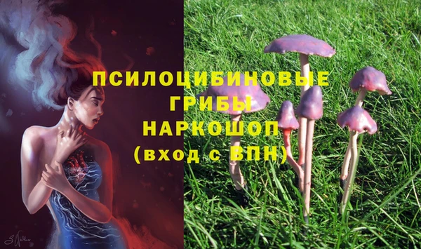 гидра Гусь-Хрустальный