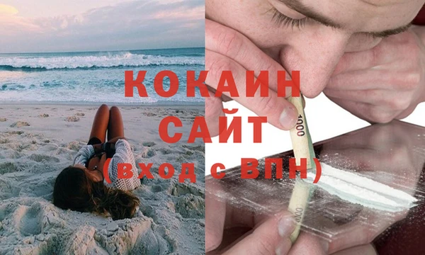 гидра Гусь-Хрустальный