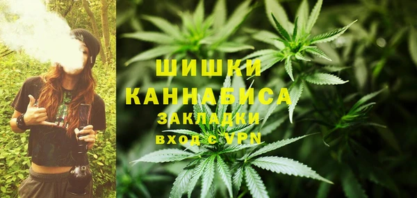 гидра Гусь-Хрустальный