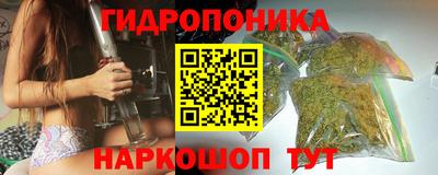 индика Беслан