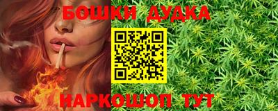 индика Беслан