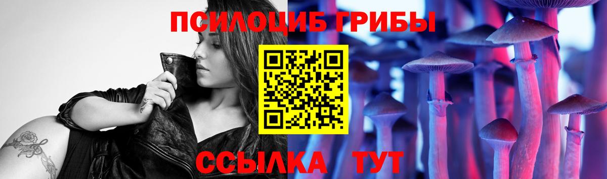 Галлюциногенные грибы Magic Shrooms  Вход с VPN  Дмитров  продажа наркотиков  Галлюциногенные грибы мицелий 