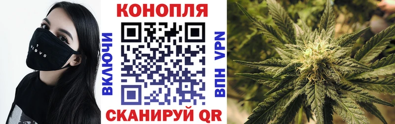 Каннабис Ganja  Дмитров 